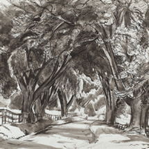 ABT Avenue of Trees, Bonaly, pen and ink wash on paper, 34 x 42 cm