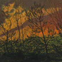 Victoria Crowe, Trees and Gold Sky, 1985, oil on canvas, 51 x 61 cm