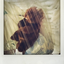 Teddy in a Garbage Bag by Nick Cave