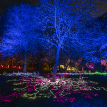 Christmas at the Botanics 2024