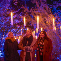 Christmas at the Botanics 2024