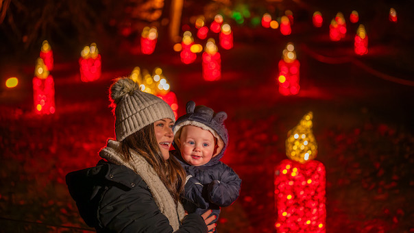 Edinburgh Botanic Garden Lights Up the Christmas Trail Again