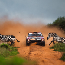 Anton Anestiev - Zebra Crossing